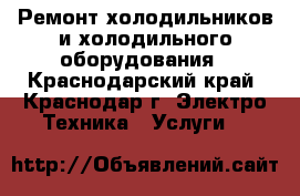 Ремонт холодильников и холодильного оборудования - Краснодарский край, Краснодар г. Электро-Техника » Услуги   